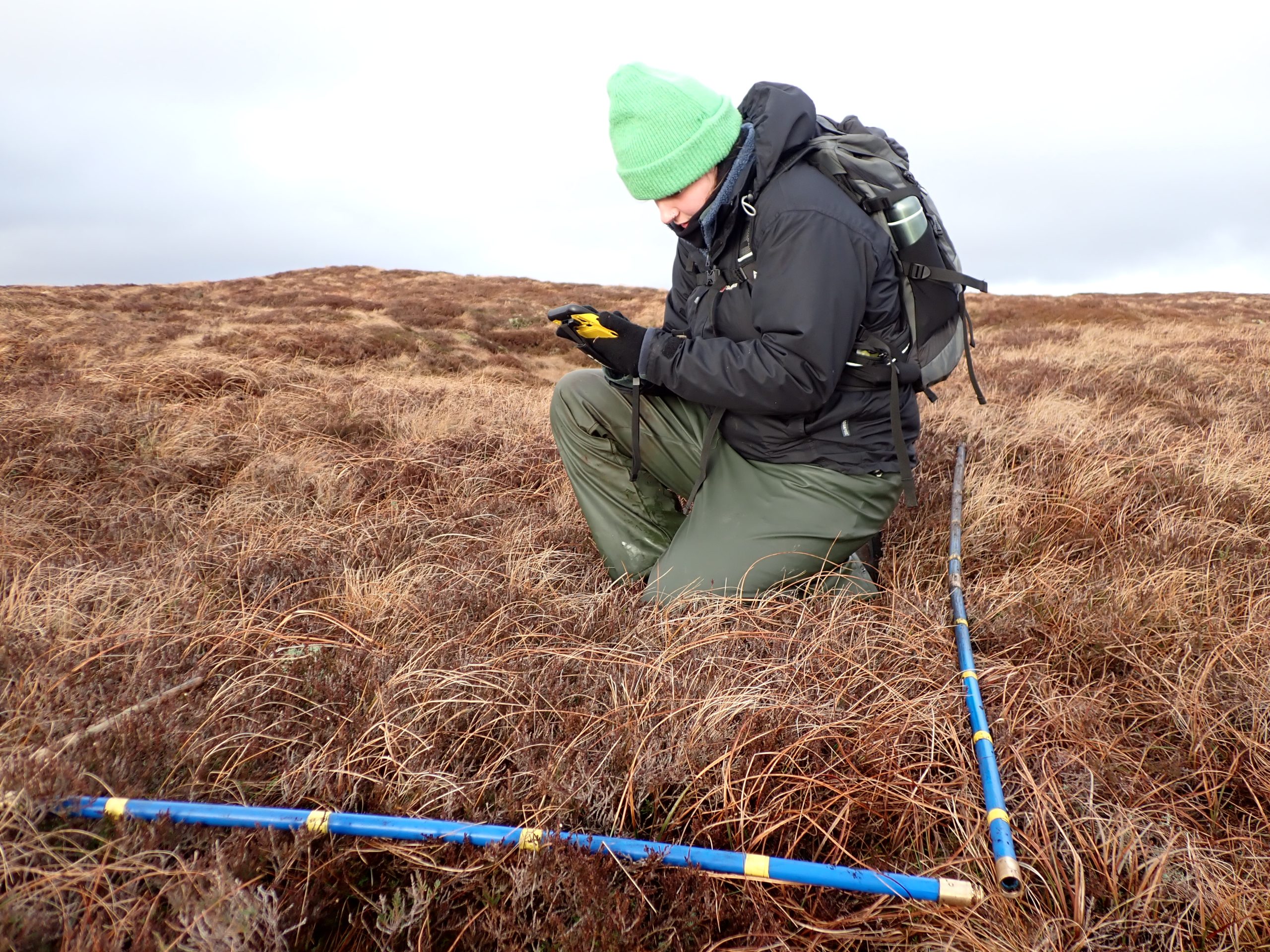 Peatland vegetation survey beccy quadrat February 2023